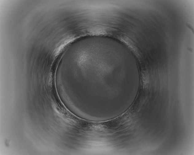 X0000102830583200808251136