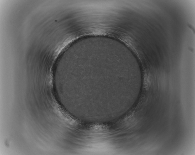 X0000102830584200808251136