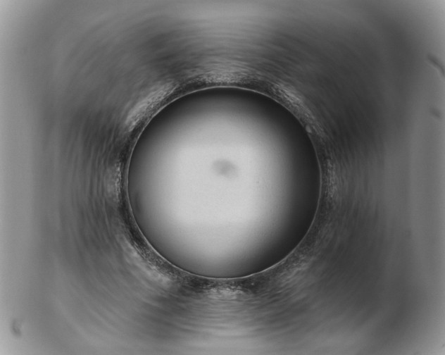 X0000102830586200808251136