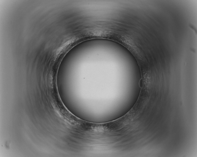 X0000102830587200808251136