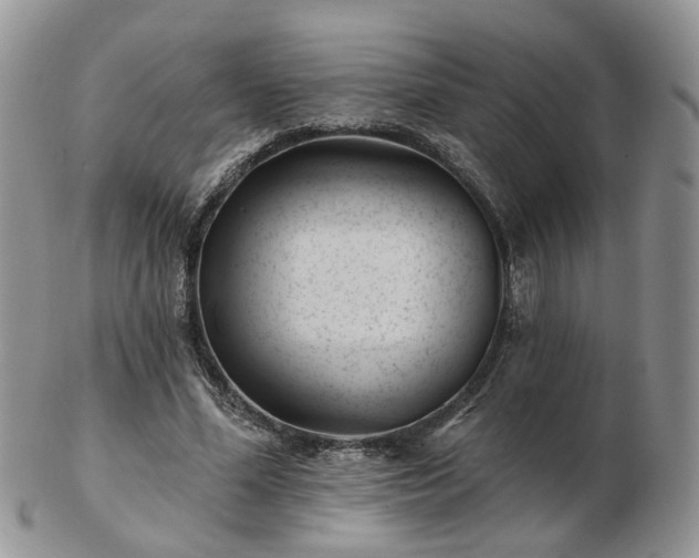 X0000102830588200808251136