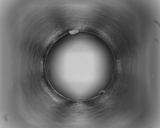 X0000102830589200808251135