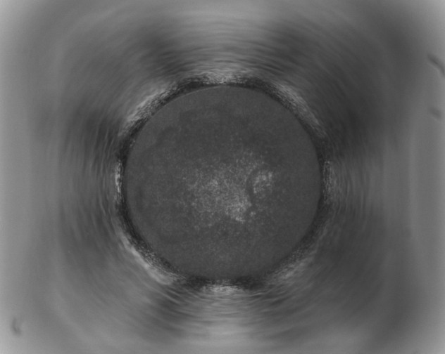 X0000102830590200808251135