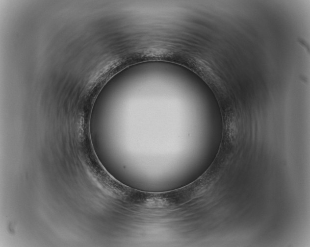 X0000102830591200808251135