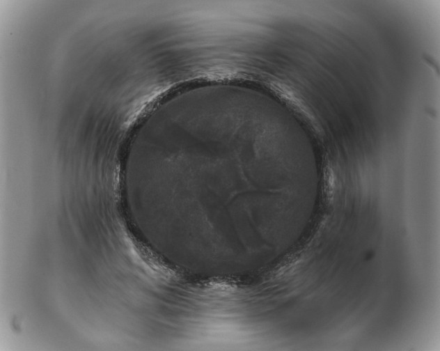 X0000102830592200808251135