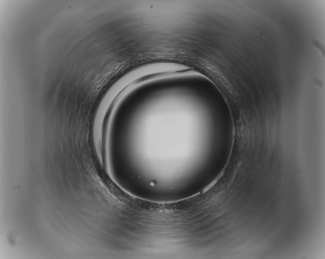 X0000102830593200808251135