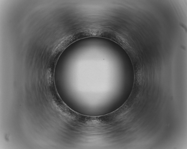 X0000102830594200808251135