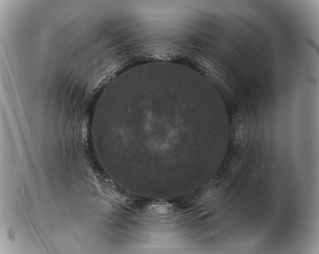 X0000102830595200808251135