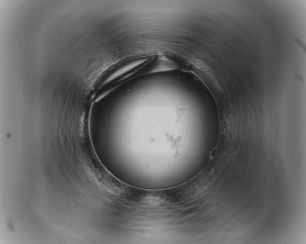 X0000102830596200808251135