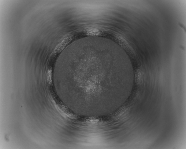 X0000102830598200808251135