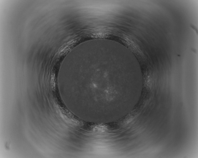 X0000102830599200808251135