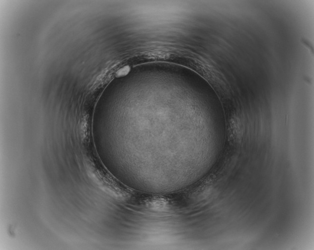 X0000102830600200808251135