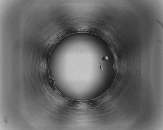 X0000102830604200808251135