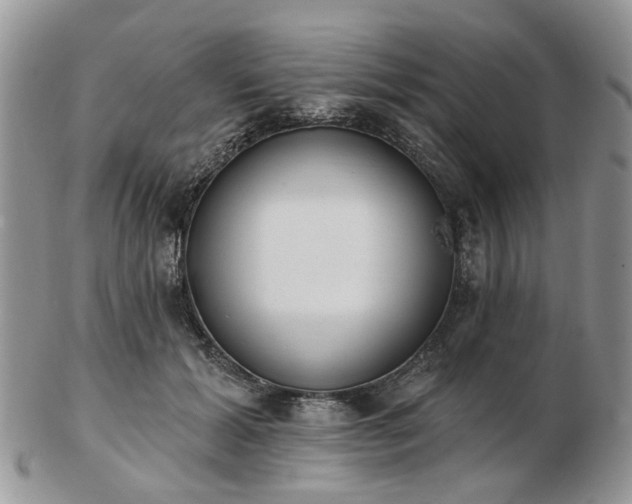 X0000102830605200808251135