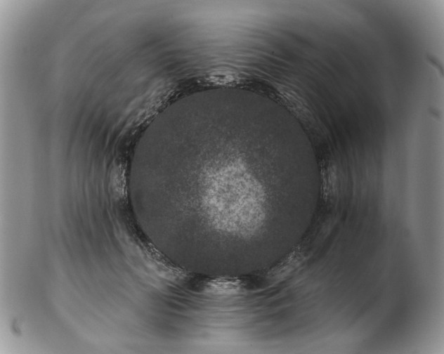 X0000102830606200808251135