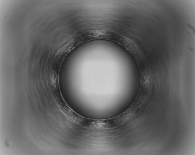 X0000102830607200808251135