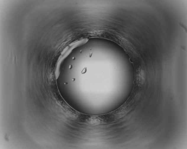 X0000102830608200808251135