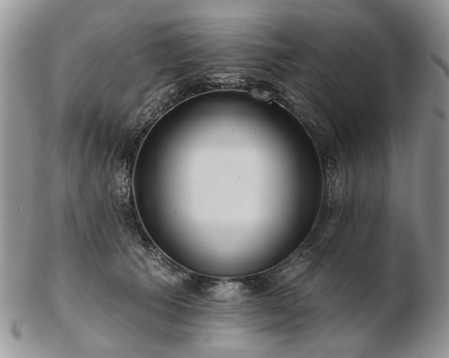 X0000102830609200808251135