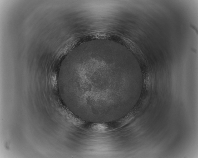 X0000102830610200808251135