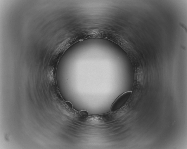 X0000102830611200808251135