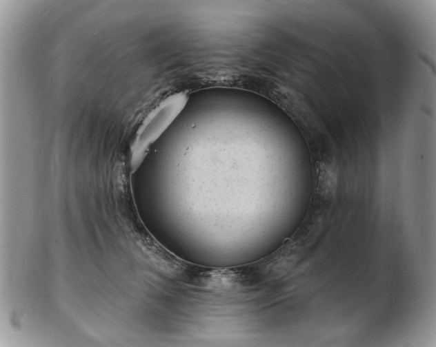 X0000102830612200808251135