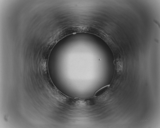 X0000102830613200808251135