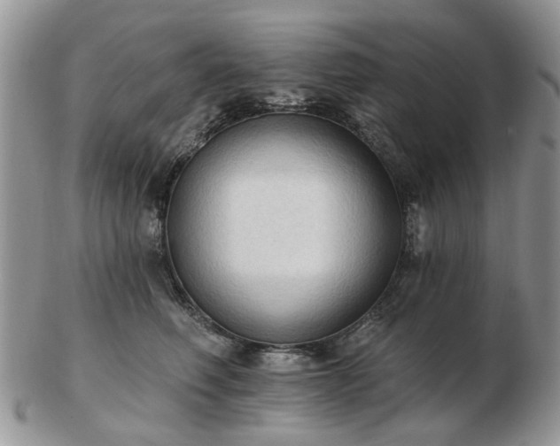 X0000102830614200808251135