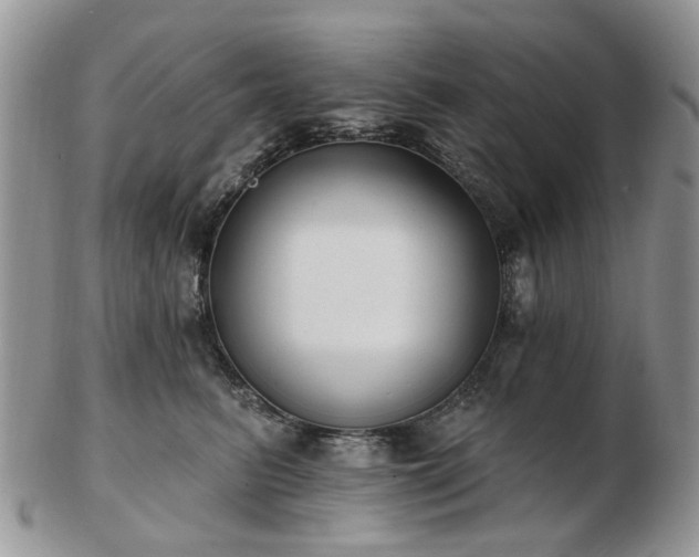 X0000102830615200808251135