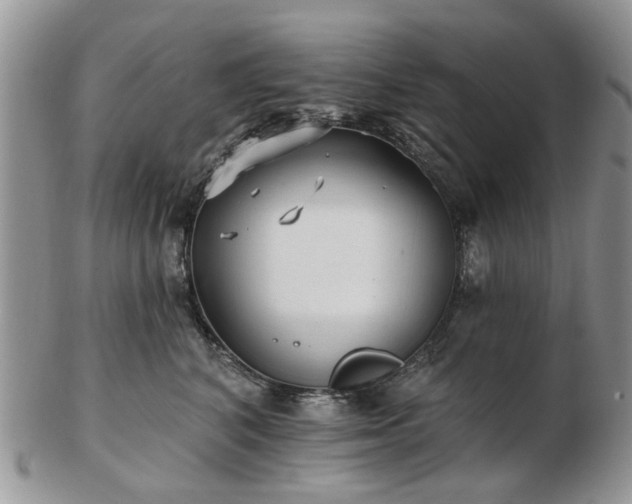 X0000102830616200808251135