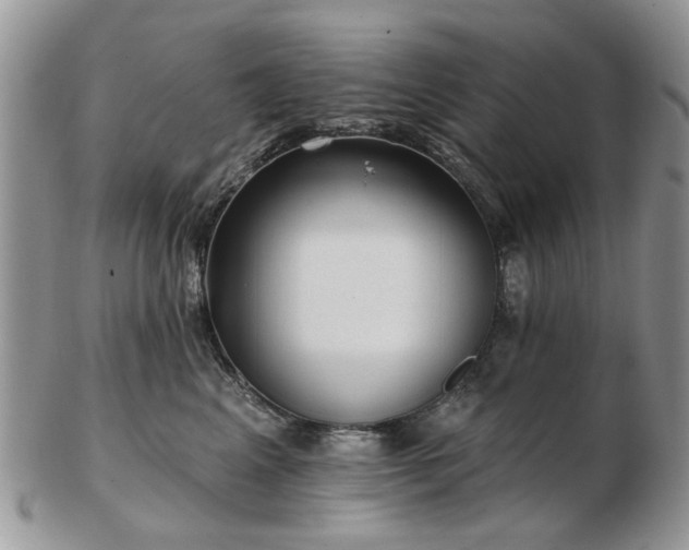 X0000102830617200808251135