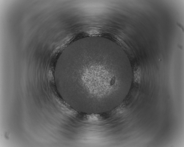 X0000102830618200808251135