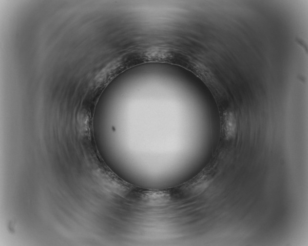 X0000102830619200808251135