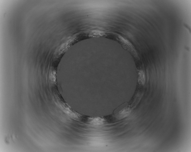 X0000102830621200808251135