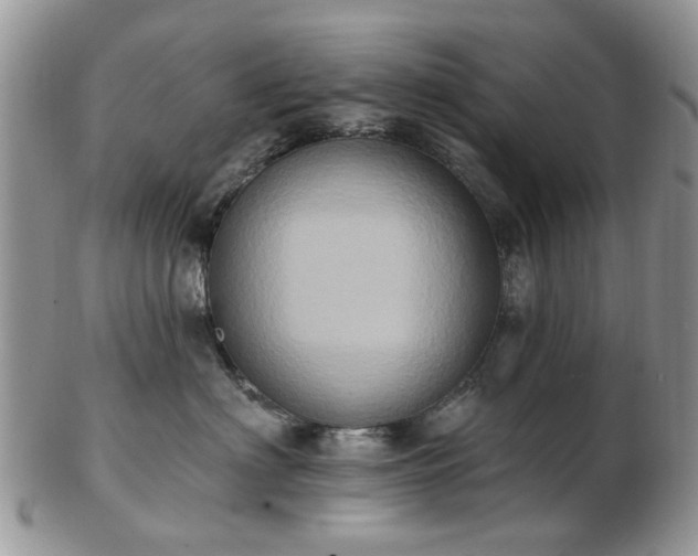 X0000102830622200808251135