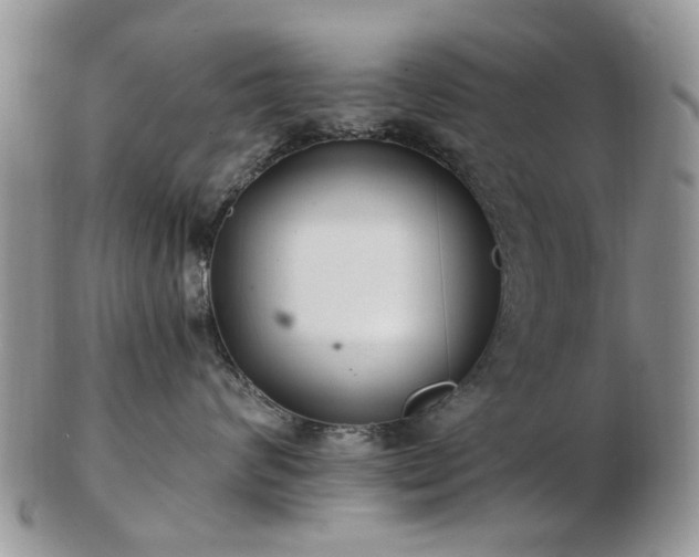 X0000102830624200808251135