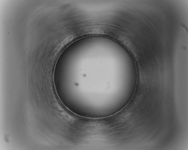 X0000102830625200808251134