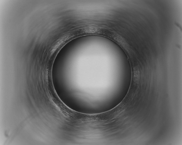 X0000102830626200808251134