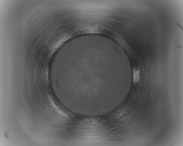 X0000102830627200808251134