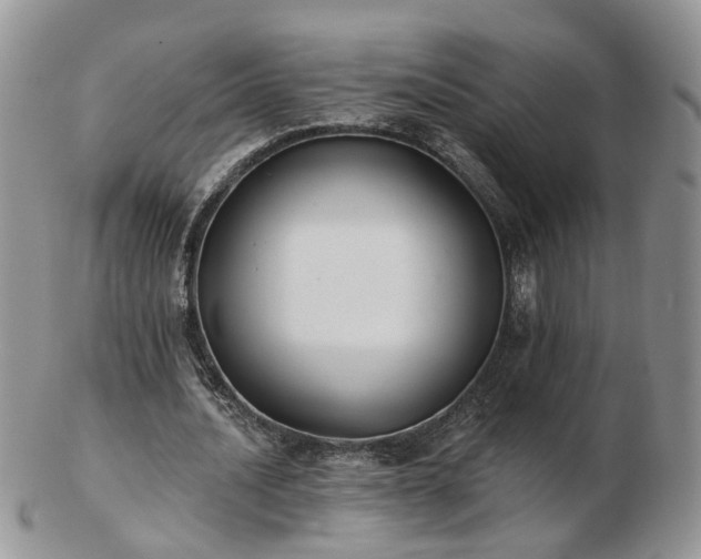 X0000102830628200808251134