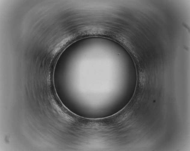 X0000102830629200808251134