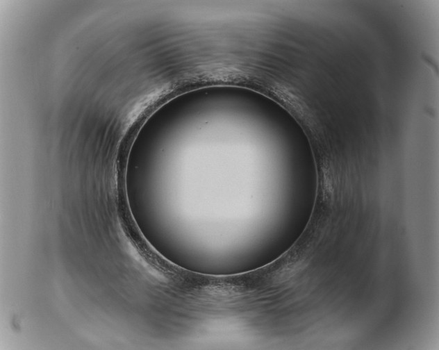 X0000102830630200808251134