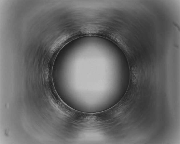 X0000102830631200808251134