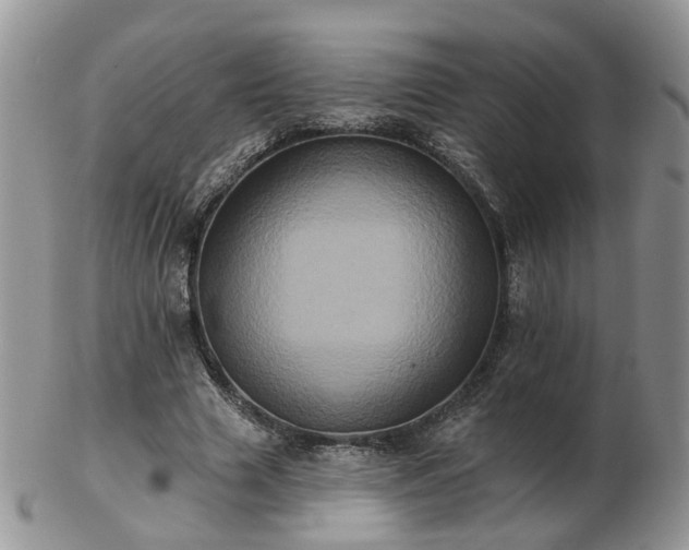 X0000102830633200808251134