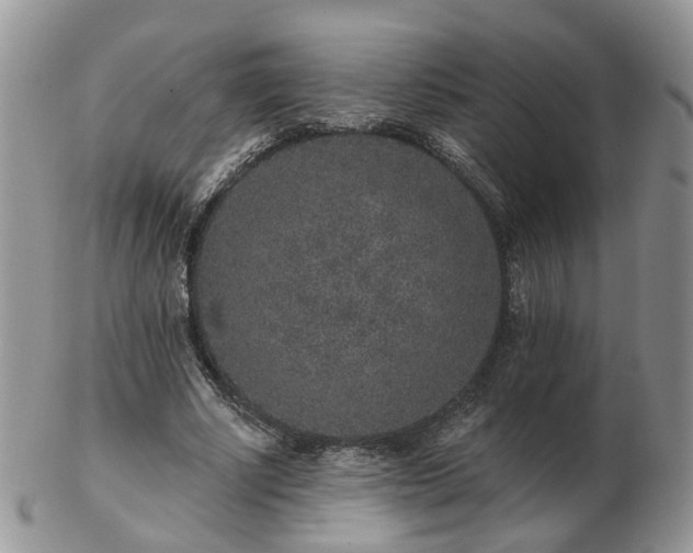 X0000102830634200808251134