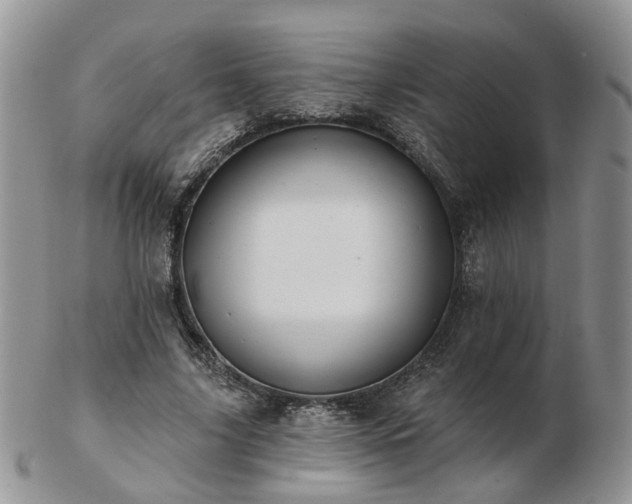 X0000102830635200808251134