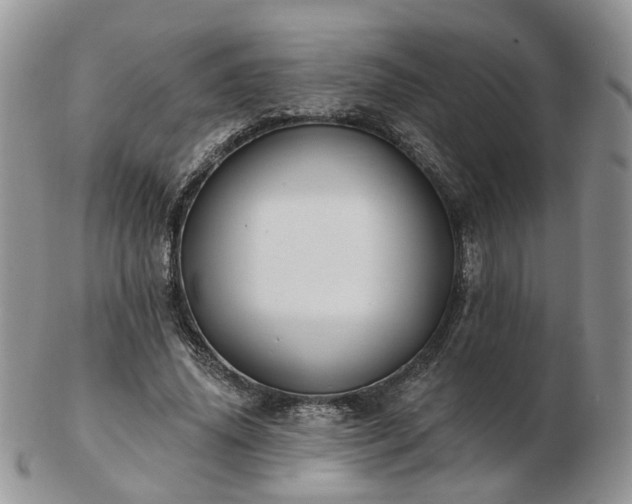 X0000102830636200808251134