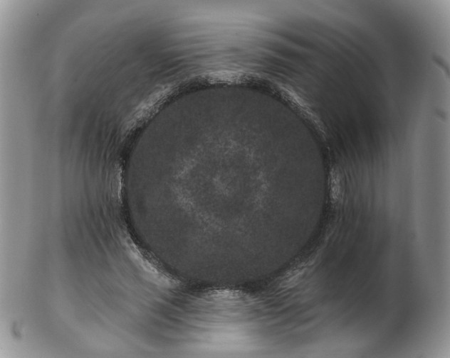 X0000102830637200808251134