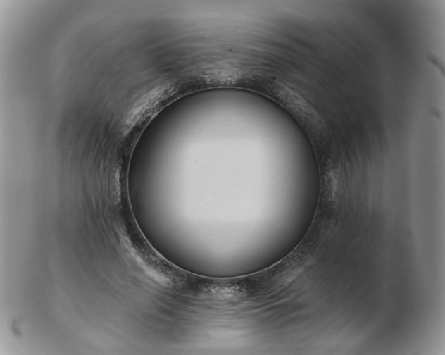 X0000102830638200808251134