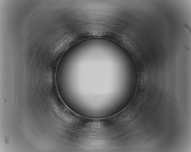 X0000102830639200808251134