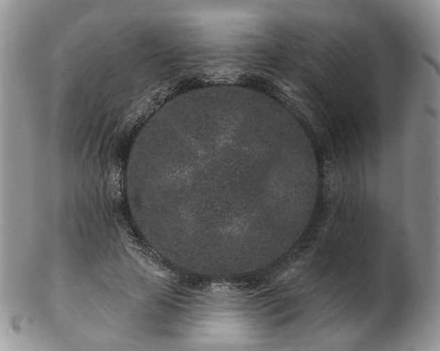 X0000102830641200808251134